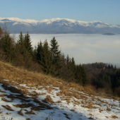 Na ostrove Chvatimech