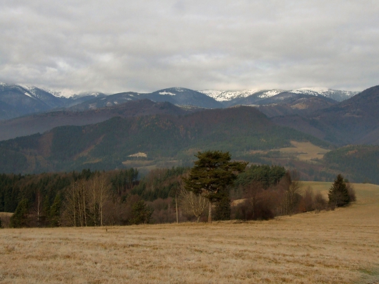 Z lúk nad Nemeckou