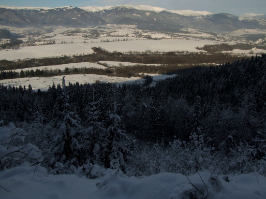 Zima