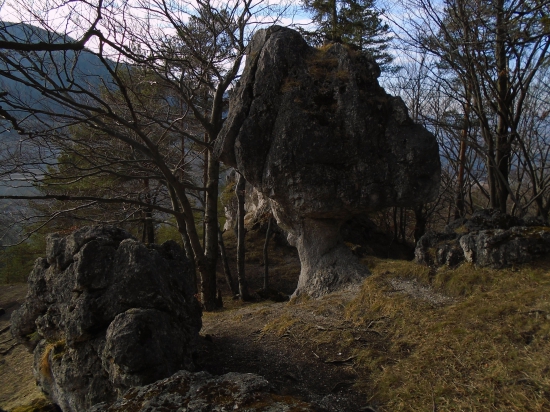 Kojšovský budzogáň