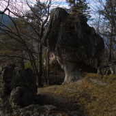 Kojšovský budzogáň