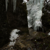 V rokline Čertova dolina