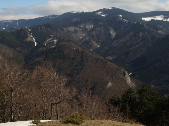 Minčol