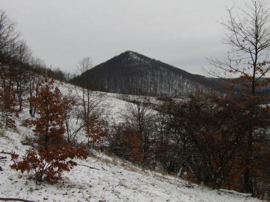 Ragáč