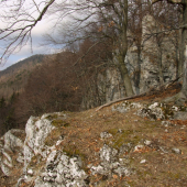 Ondrašovské skaly