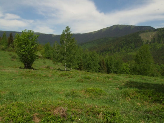 Pod Hradiskom