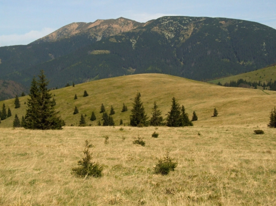 Prašiívá