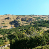 Tam hore byvaju naj.jelene.