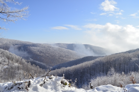 silvestrovska prechadzka