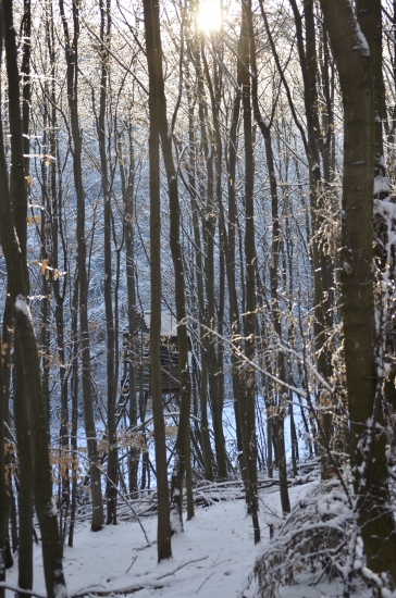 vyliezt ci nevyliezt