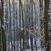 vyliezt ci nevyliezt