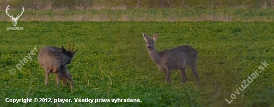 psst, nebonzni ma!