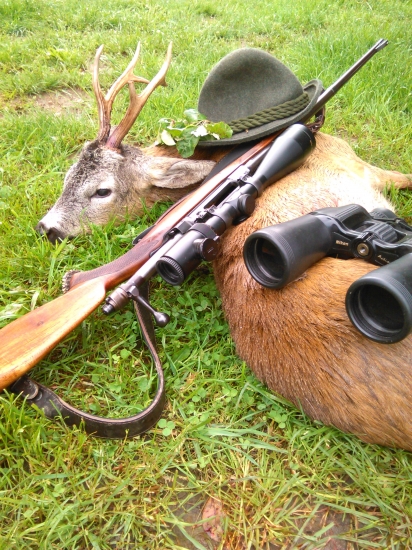 Srnec spod Spisskeho hradu