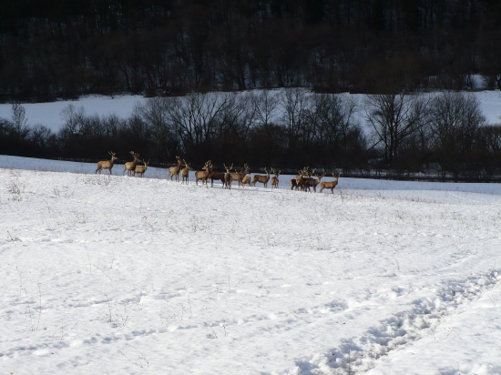 kde sa vzali tu sa vzali