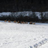 kde sa vzali tu sa vzali