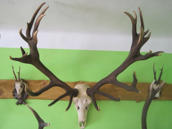 Poľovnícka výstava Ratková 2013