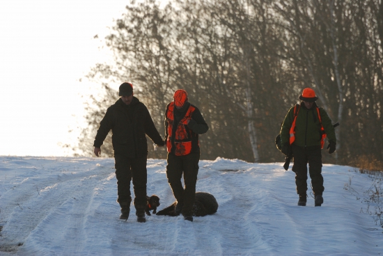 ...z posledných síl