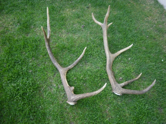 Konečne prvé tohtoročné.