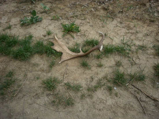 Včerajšia prechádzka s priatelkou