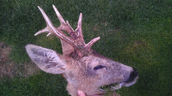 Detail mojho svadebneho