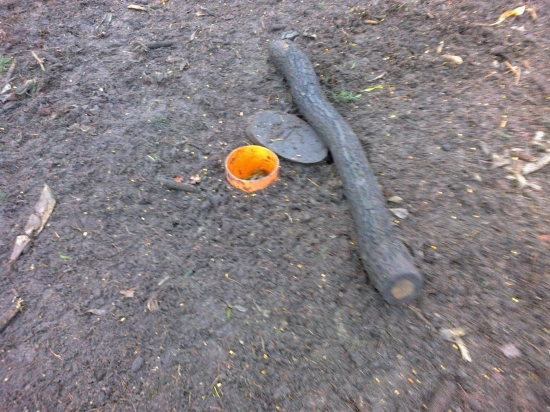 Pravidelne navštevované