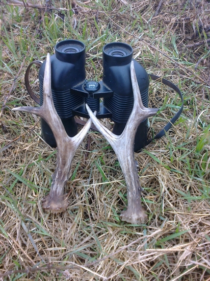 Včerajšia párka z druhej strany.