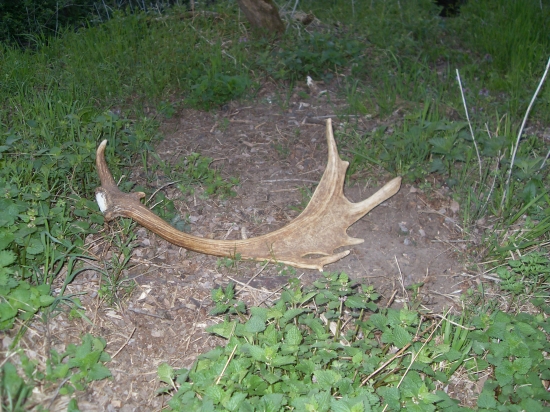 Ďalší v tomto roku