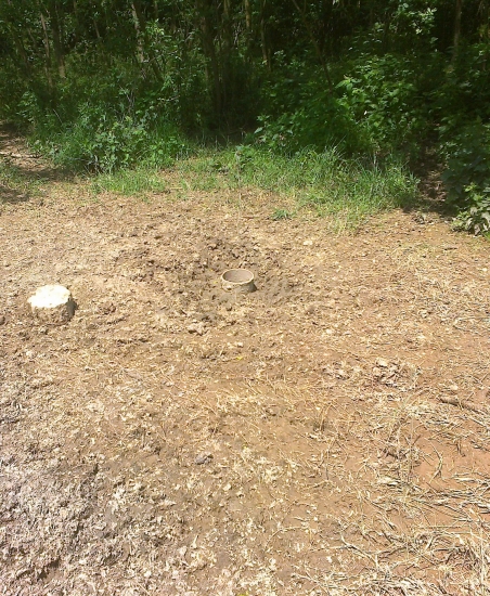 Navštevované vnadisko,háj.