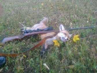 Kmotra z dnešného rána.