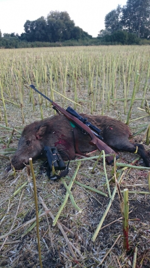 Z repkoveho strniska.