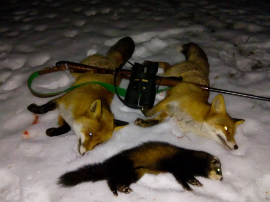 Dnešný Piatok trinásteho.