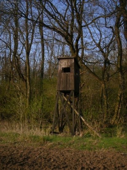 Môj prvi posedik uz ma nieco za sebu