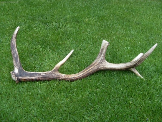 Moj najlepsi tohtorocny.