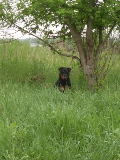 Ben čaká na svoju príležitosť