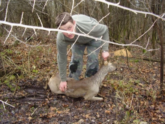 Vianocna zachrana srny 2.