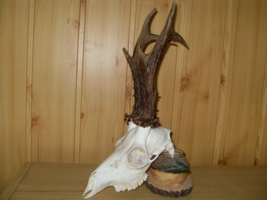 Tohtoročný úhyn,škoda ho.