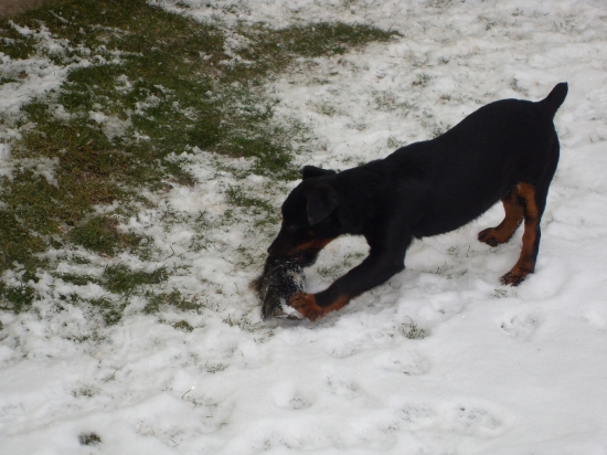 Ben od Kasiánových vŕb
