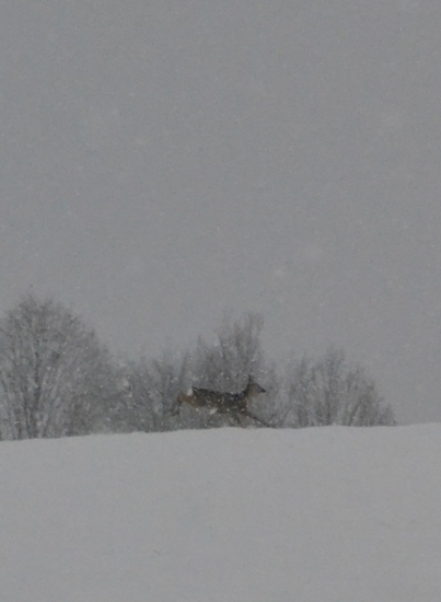 a možno aj zimná idylka