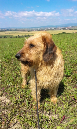 Moja najlepšia spoločníčka