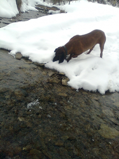 preverovanie novych stop