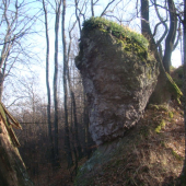 skala