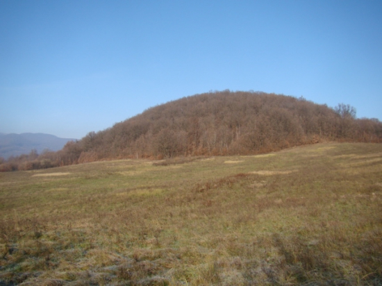 Valencica