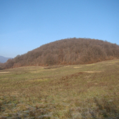 Valencica