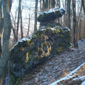 havrania baba