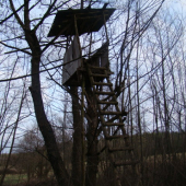 zrúcanina