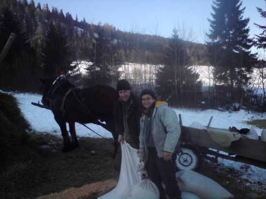 prikrmenie pomocou Martinovho koníka