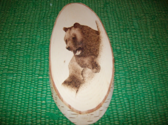 vypaĺovaný medveď do brezy