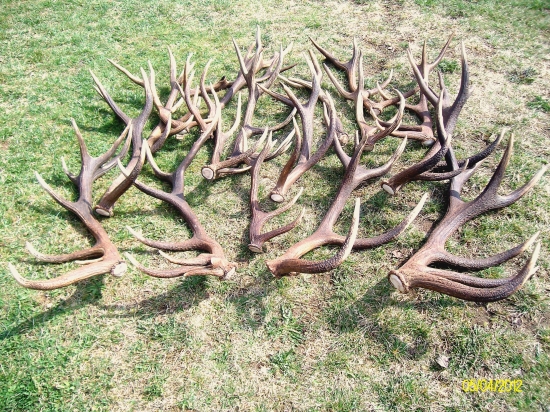 tohtoročná sezóna, zatial 18 ks.