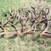 tohtoročná sezóna, zatial 18 ks.