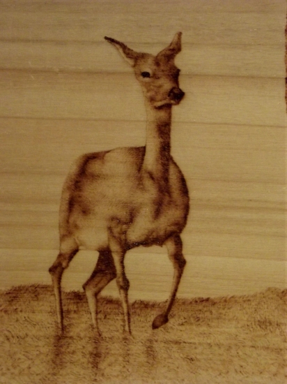 Vypaľovana jelenica detail